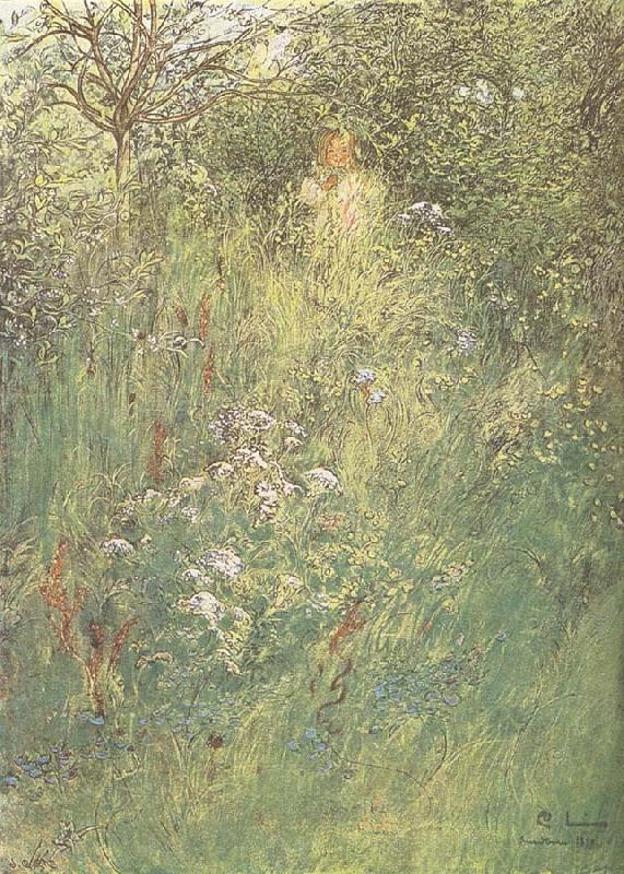 in the Hawthorn Hedge, Carl Larsson